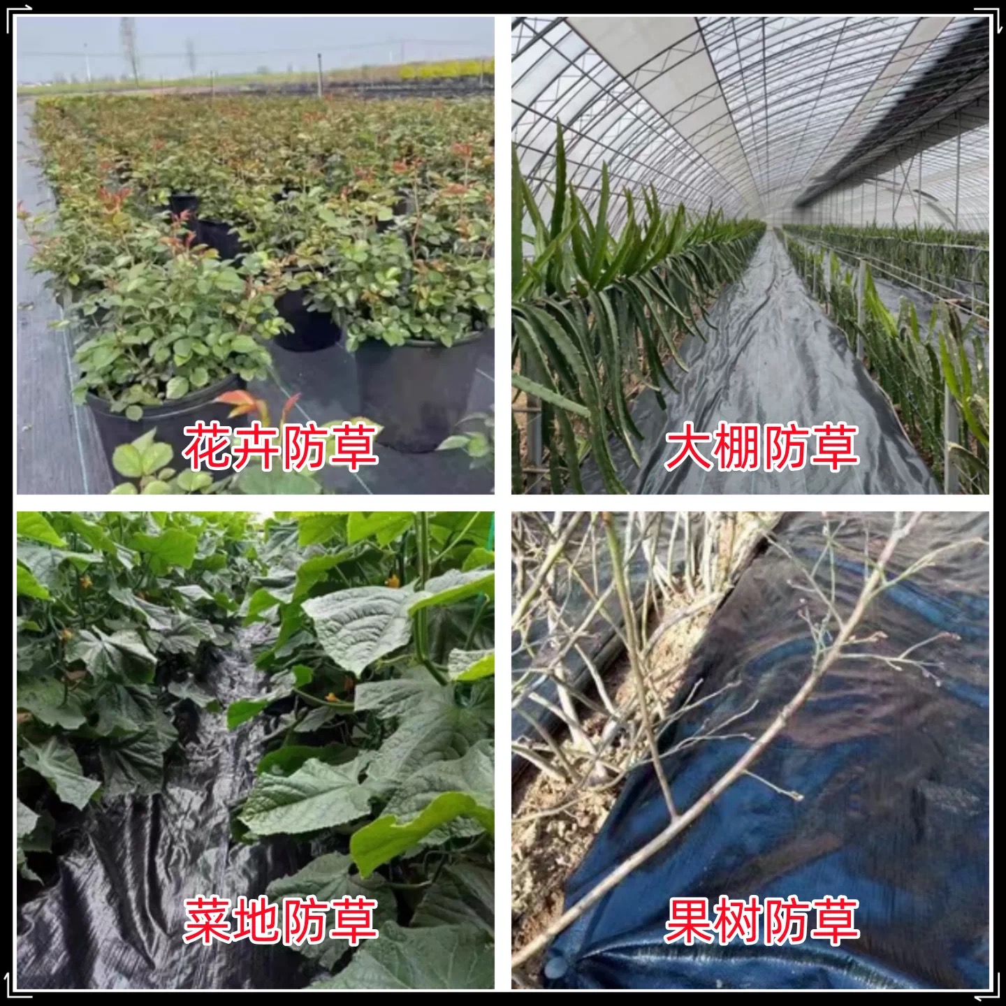 天津工程膜防草布 - 推荐