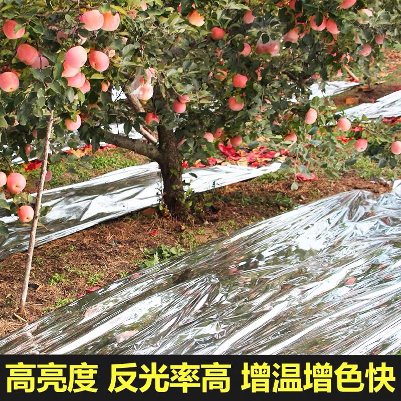 天津塑料薄膜果树反光膜 - 方案